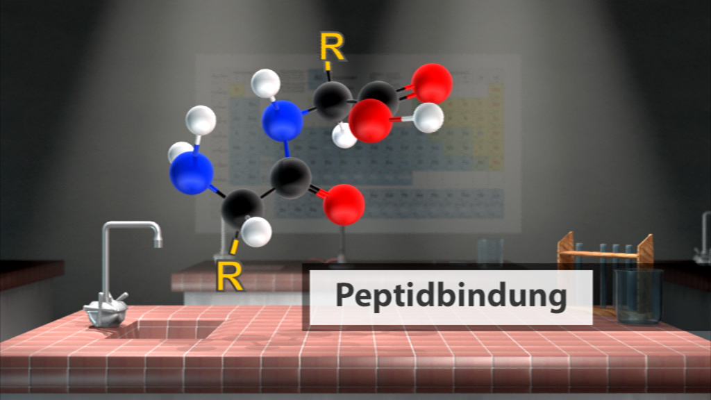 3D-Darstellung einer Peptidbindung mit verschiedenen farbigen Atomen, darunter Schwarz, Weiß, Blau und Rot, auf einem Tisch im Labor.