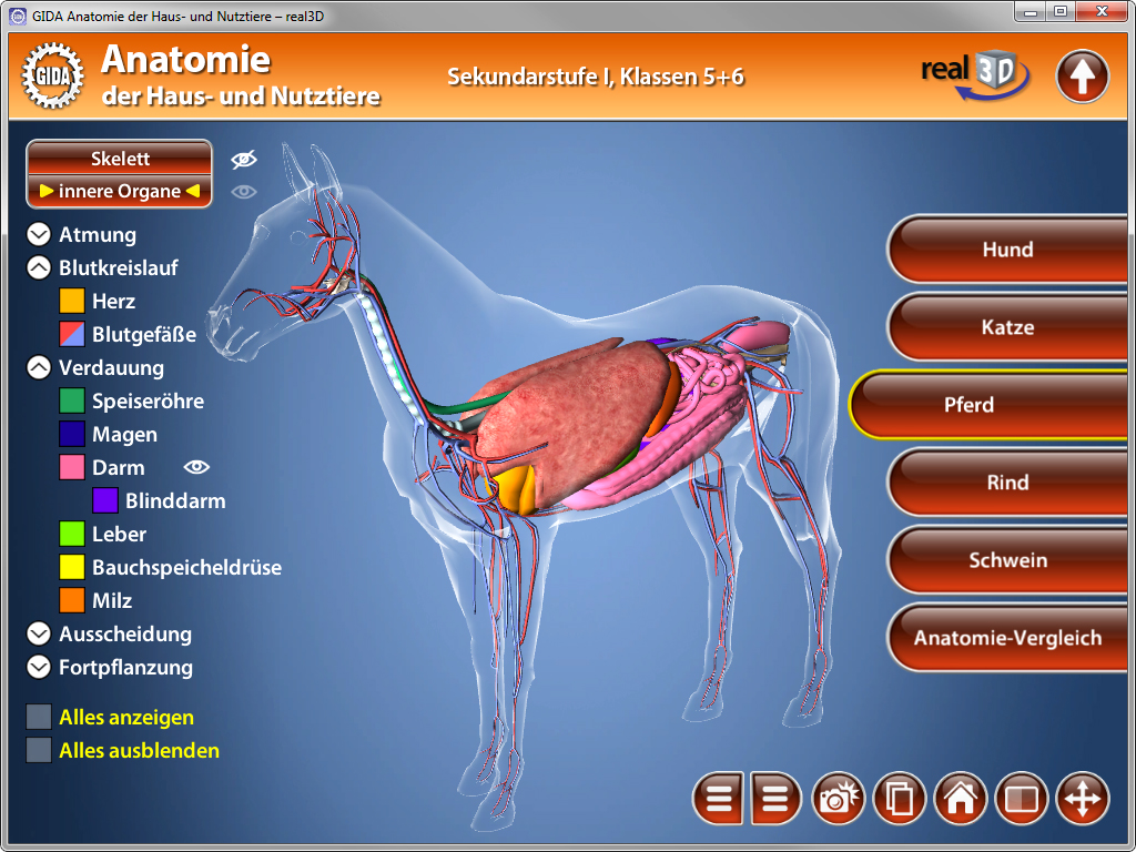 Interaktive Anatomieansicht eines Pferdes mit hervorgehobenen Organen und Systemen.