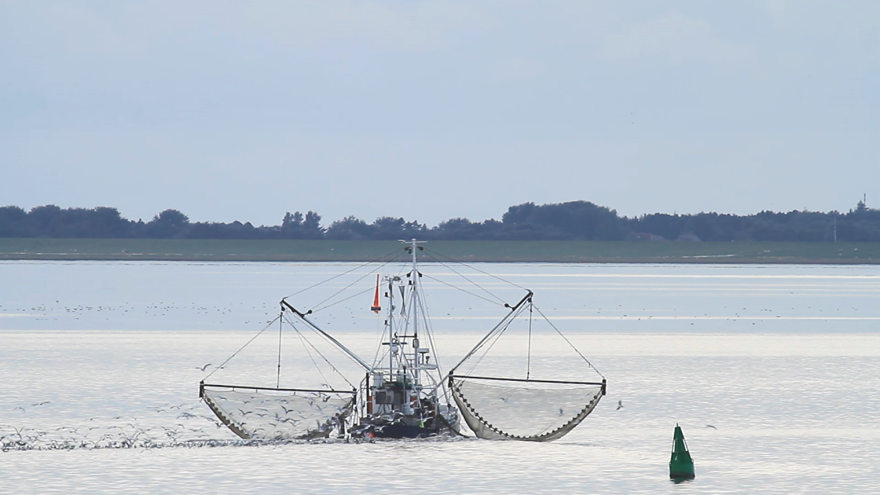 Ein Fischereiboot mit großen Netzen fährt durch ruhiges Wasser, um Fische zu fangen.