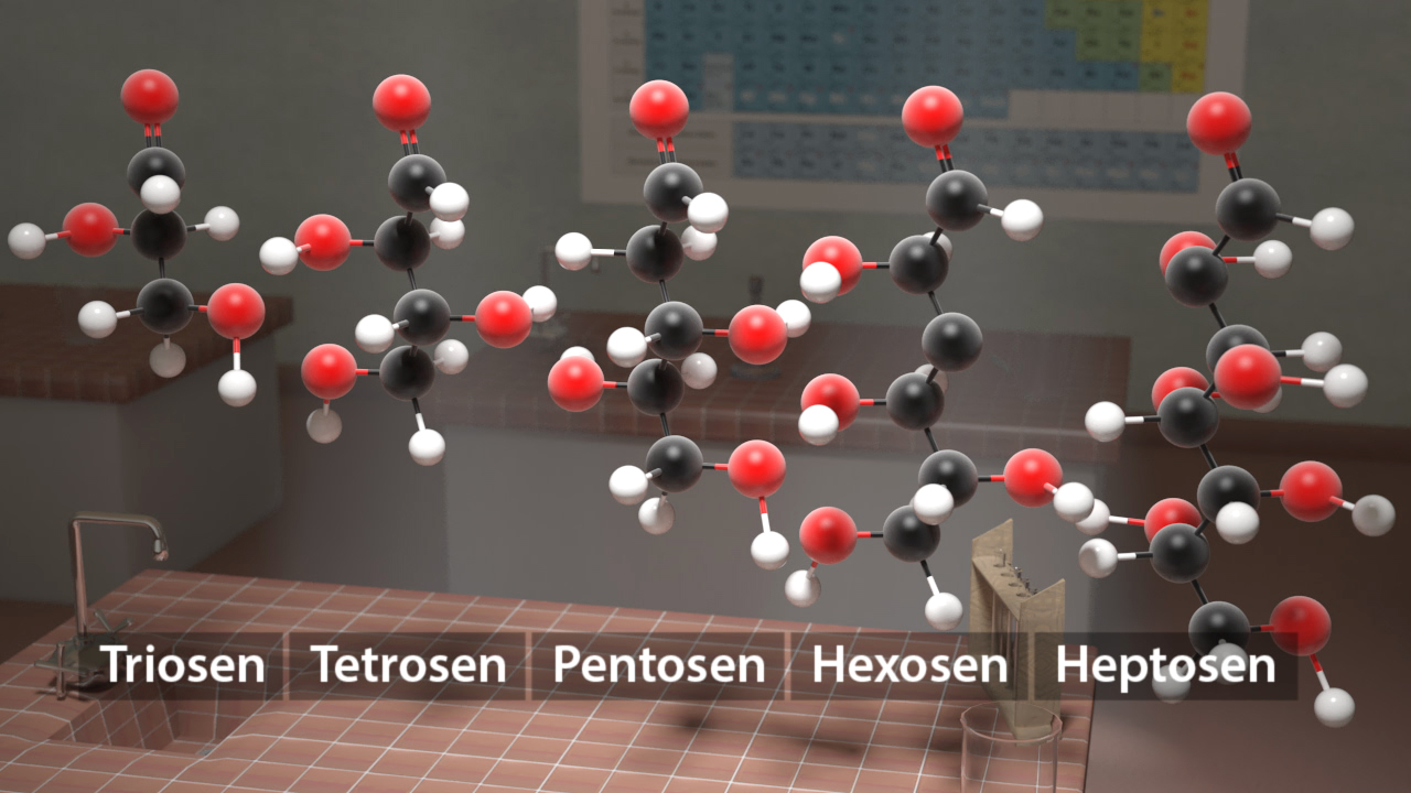 Molekülstrukturen von Triosen, Tetrosen, Pentosen, Hexosen und Heptosen in einer chemischen Darstellung.