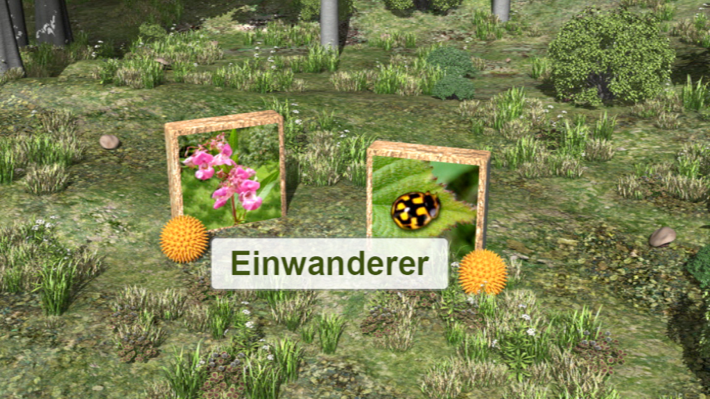 Zwei Bilder von Pflanzen und einem Käfer mit dem Text 'Einwanderer' im Vordergrund.