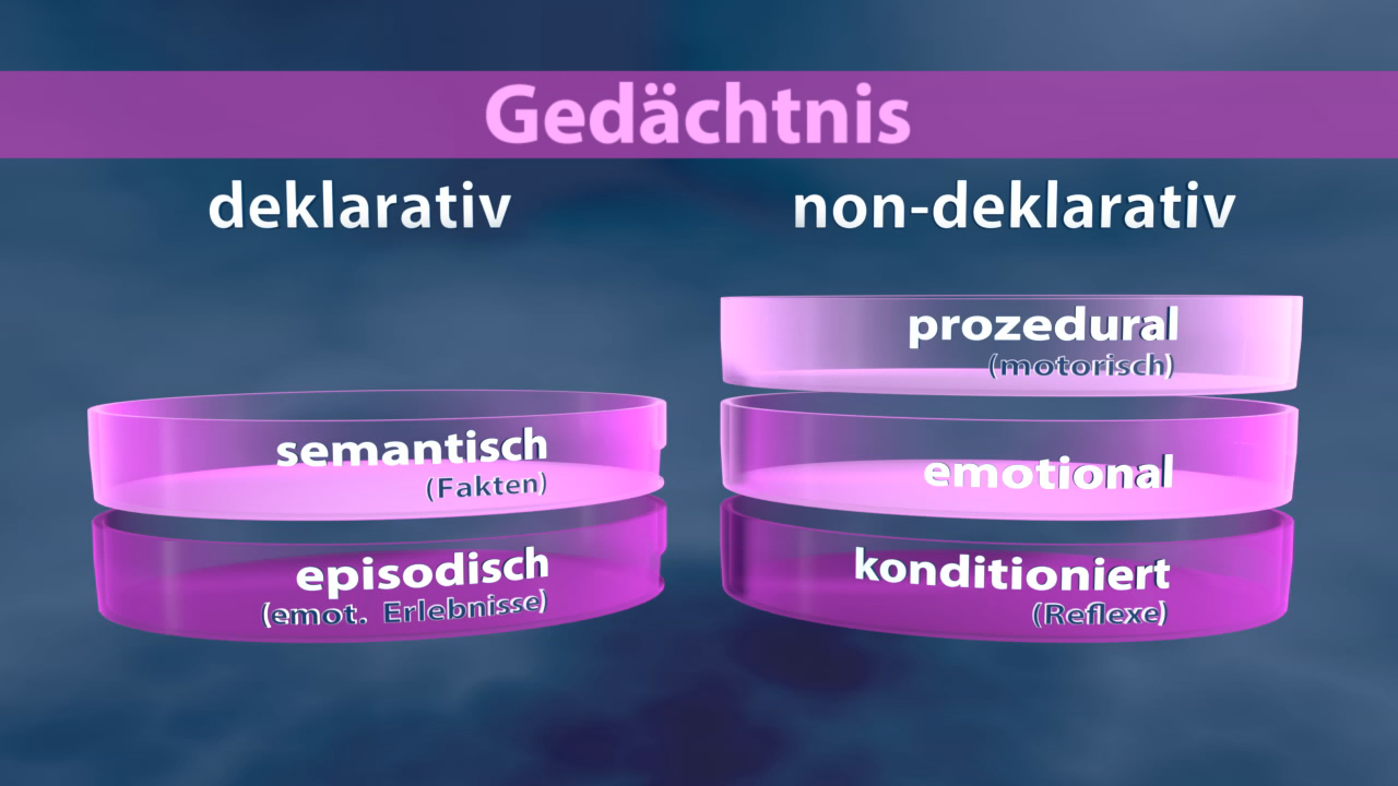Diagramm des Gedächtnisses mit den Kategorien deklarativ (semantisch, episodisch) und non-deklarativ (prozedural, emotional, konditioniert).