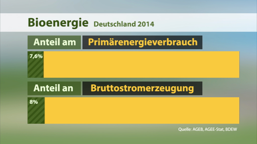 Diagramm zur Bioenergie in Deutschland 2014 mit Anteilen am Primärenergieverbrauch (7,6%) und an der Bruttostromerzeugung (8%).