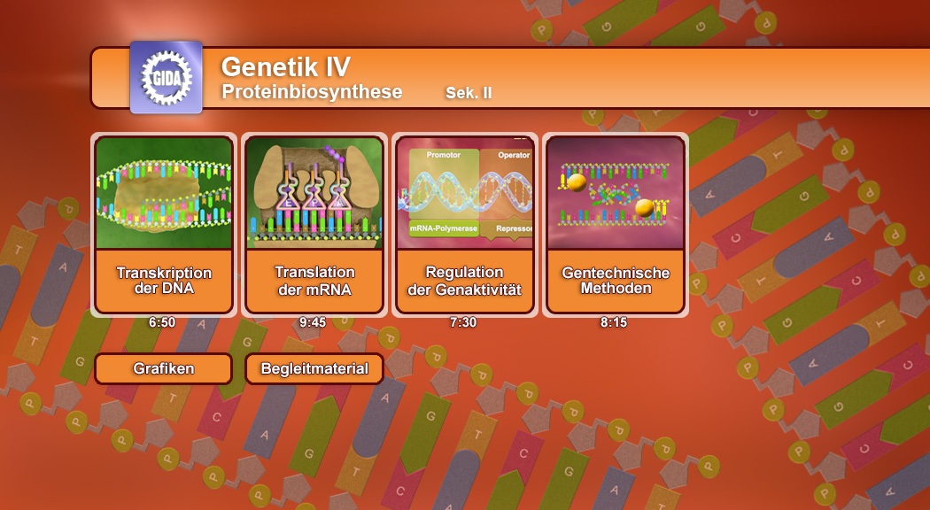 Infografik über Proteinbiosynthese mit vier Themen: Transkription der DNA, Transkription des mRNA, Regulation der Genaktivität, Genetische Methoden.