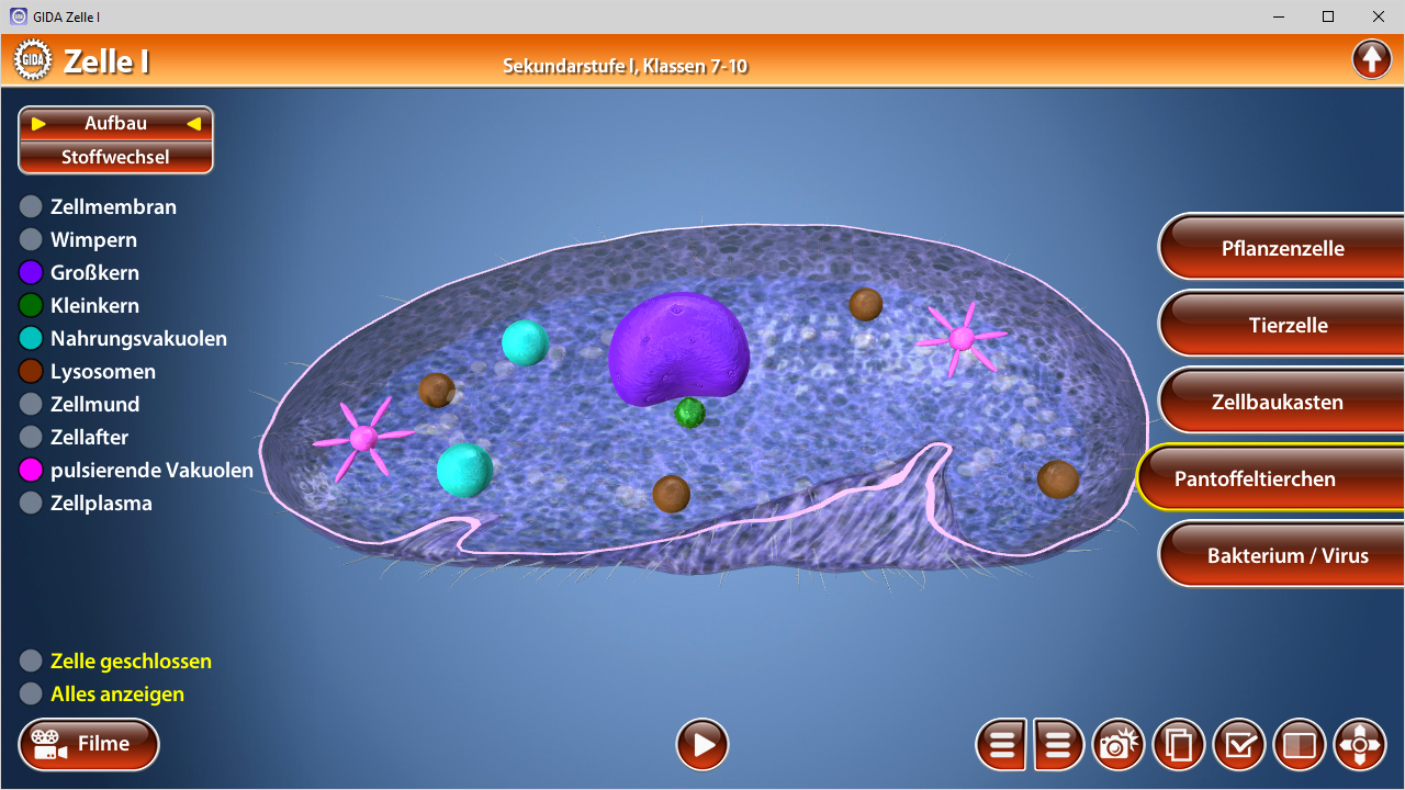 Grafik einer Zelle mit verschiedenen Organellen wie Zellmembran, Mitochondrien und Vakuolen, dargestellt in einem interaktiven Lernprogramm.