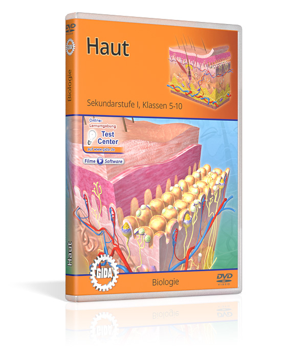 DVD-Cover mit dem Titel 'Haut' für Sekundarstufe 1. Es zeigt eine grafische Darstellung der Hautschichten und deren Struktur.