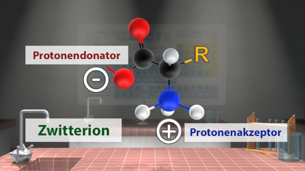 Darstellung eines Zwitterions mit Protonendonator und Protonenakzeptor, farblich gekennzeichnet.