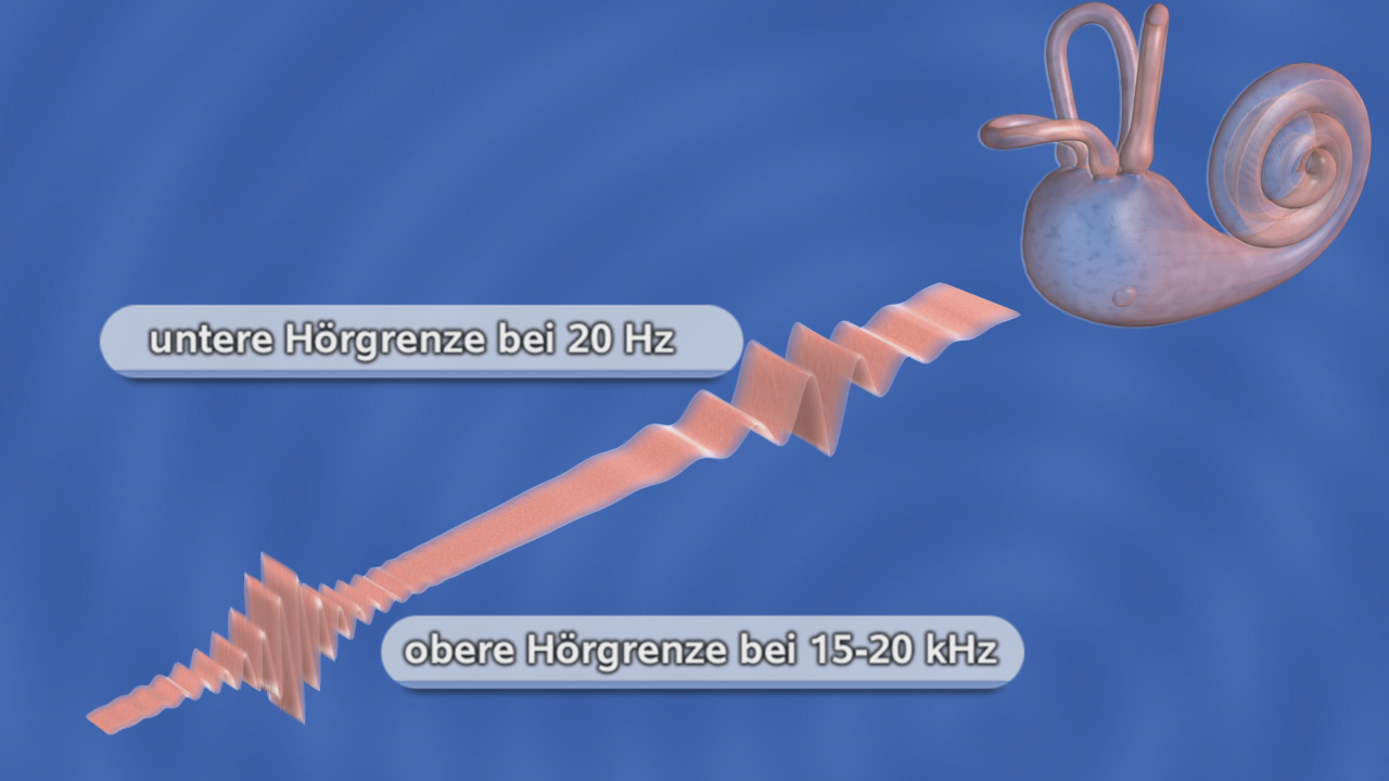 Grafik zeigt die untere Hörgrenze bei 20 Hz und die obere Hörgrenze bei 15-20 kHz, dargestellt durch Wellenformen und eine Schnecke.