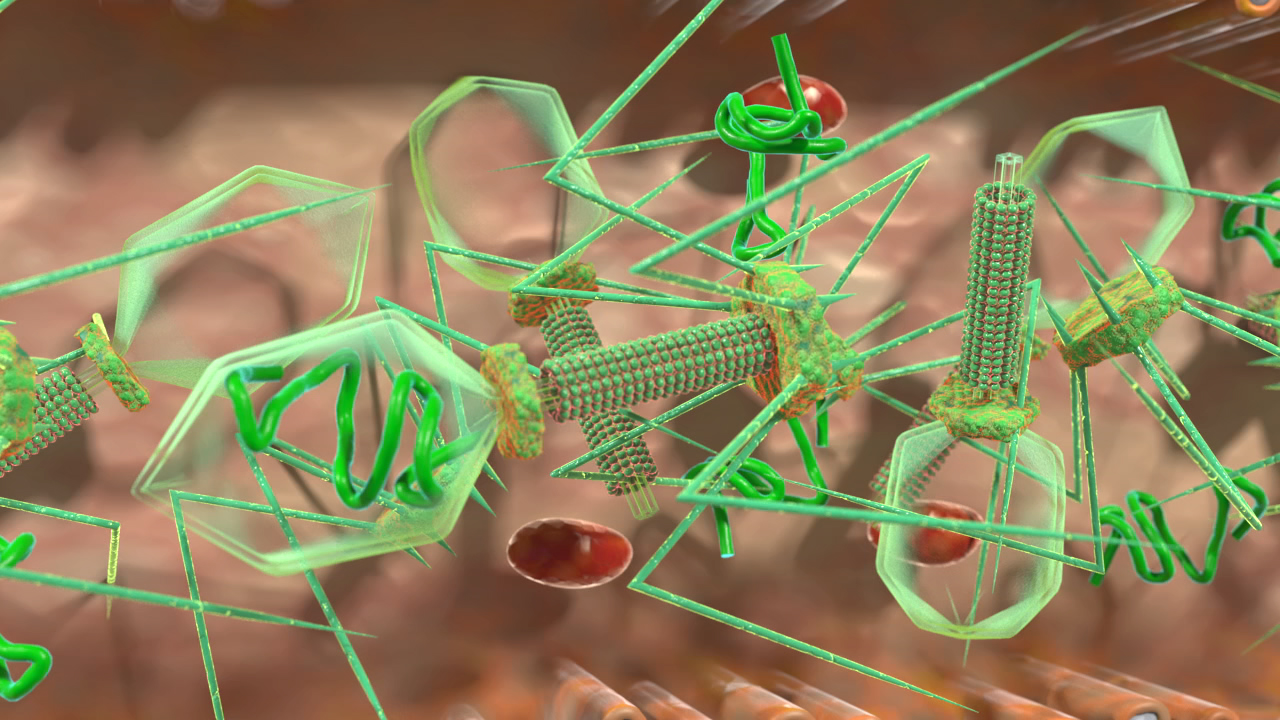 Darstellung eines Virus mit grünen Strukturen und roten Elementen, die in einer zellulären Umgebung schwimmen.