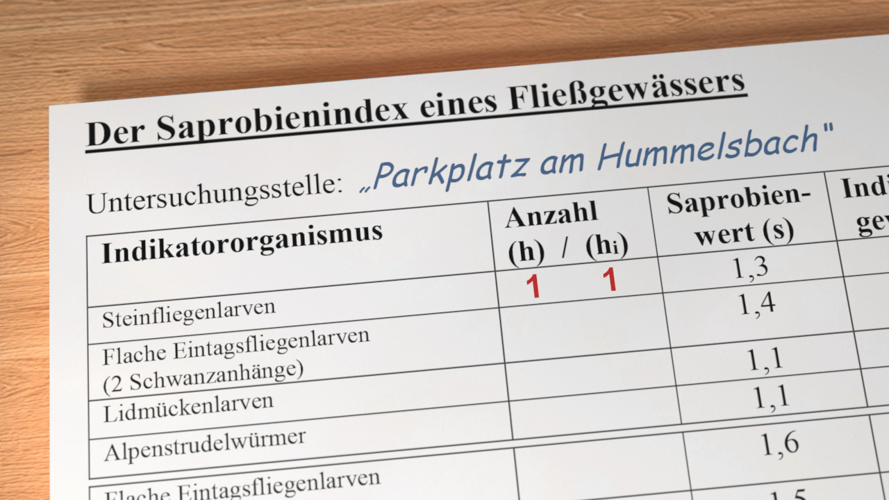 Tabelle zum Saprobienindex eines Fließgewässers mit Untersuchungsergebnissen für den Parkplatz am Hummelsbach, einschließlich Indikatororganismen und deren Anzahl.