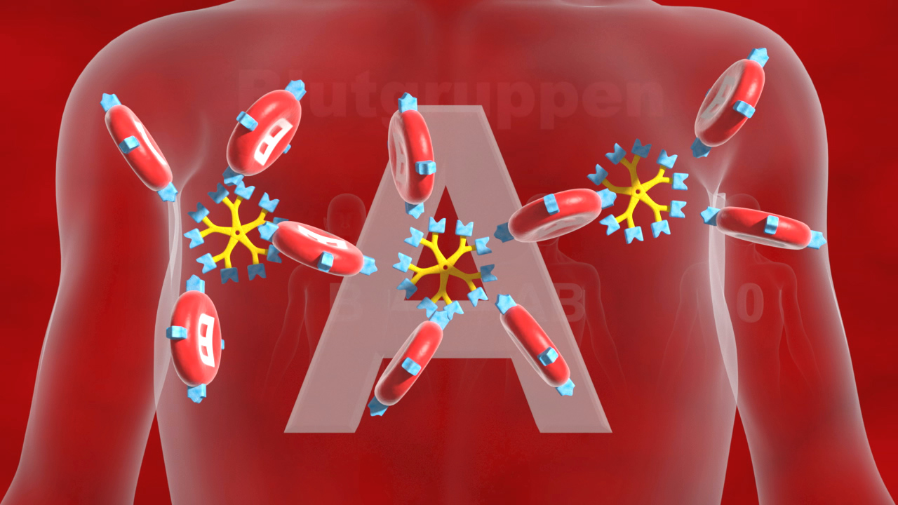 Grafik, die das Immunsystem mit Antikörpern und Antigenen zeigt, die auf ein 'A' reagieren.