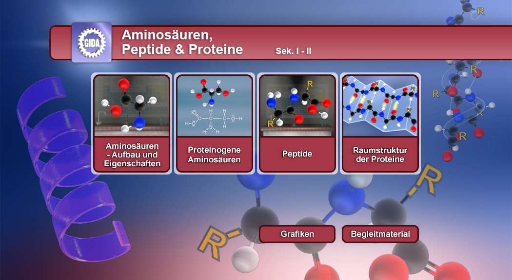 Infografik über Aminosäuren, Peptide und Proteine mit chemischen Strukturen und Eigenschaften.