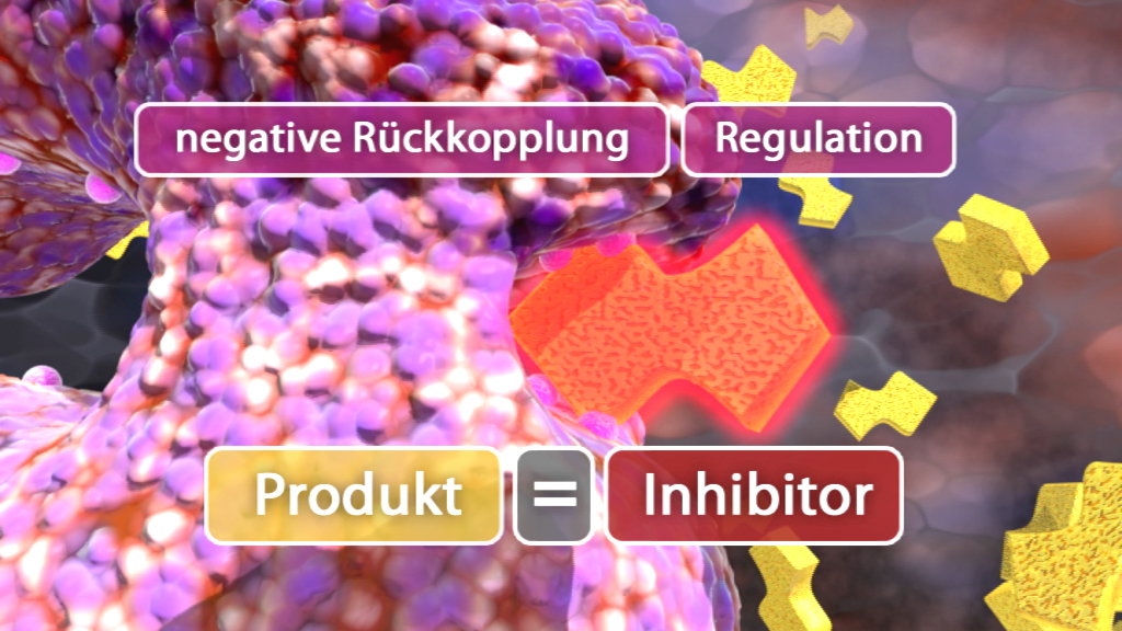Infografik zur negativen Rückkopplung in der Regulation, zeigt Produkt als Inhibitor.