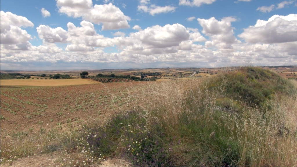 Weite Landschaft mit Feldern und Wolken am Himmel