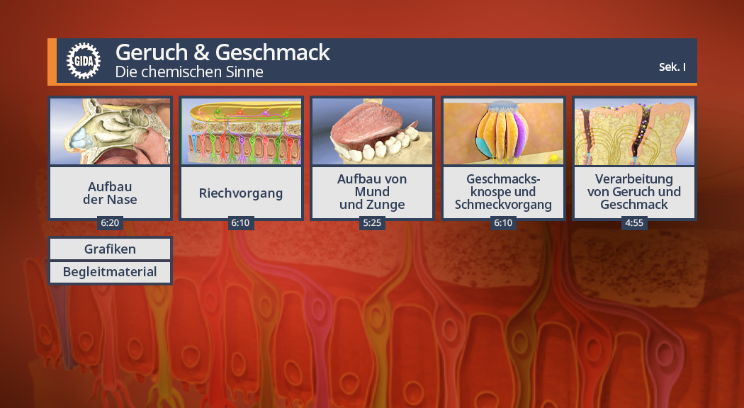 Menü des Films "Geruch & Geschmack – Die chemischen Sinne".