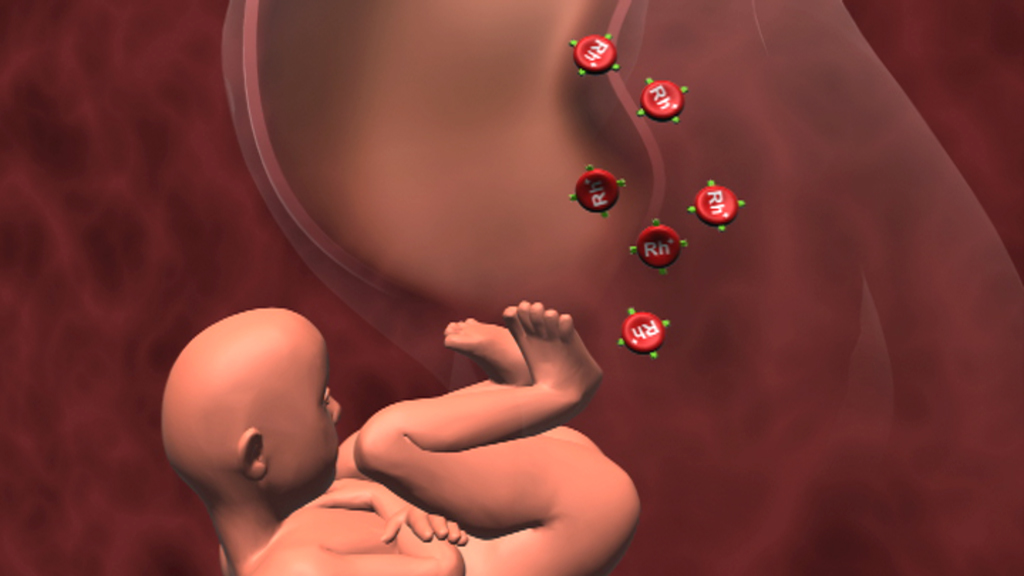 3D-Darstellung eines Fötus im Mutterleib mit roten Molekülen, die um ihn herum angeordnet sind.
