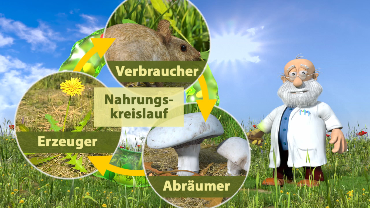 Grafik zum Nahrungszyklus mit den Elementen Erzeuger, Verbraucher und Abräumer, dargestellt mit Pflanzen, einem Tier und einem Pilz.