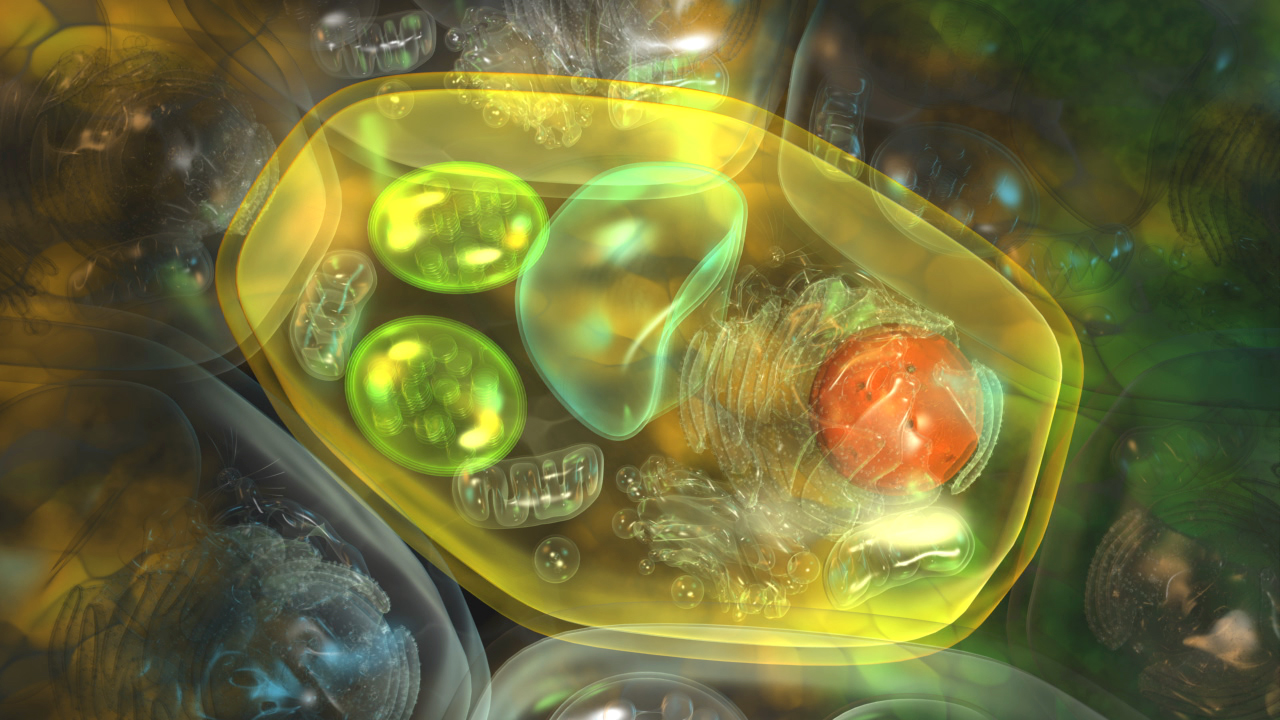 Grafische Darstellung einer Zelle mit verschiedenen Organellen in leuchtenden Farben.
