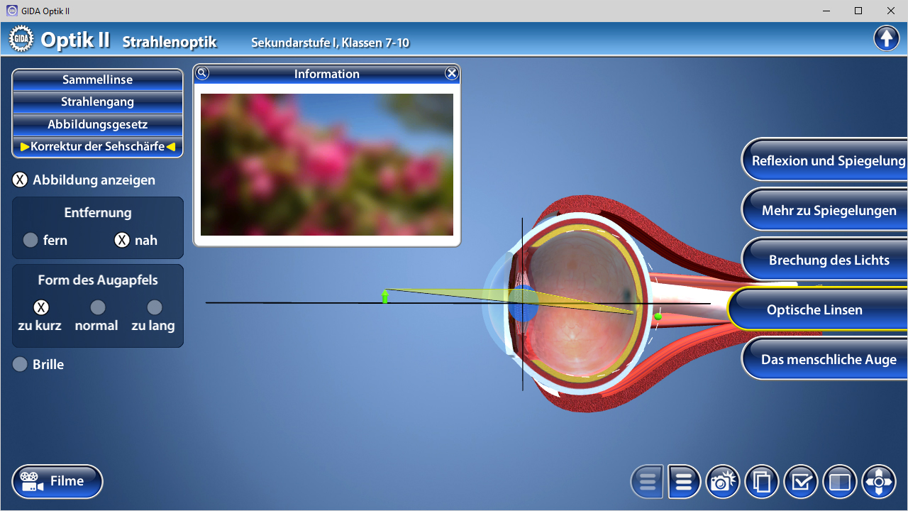 Interaktive Darstellung der Strahlenoptik mit Fokus auf optische Linsen und Lichtreflexion.