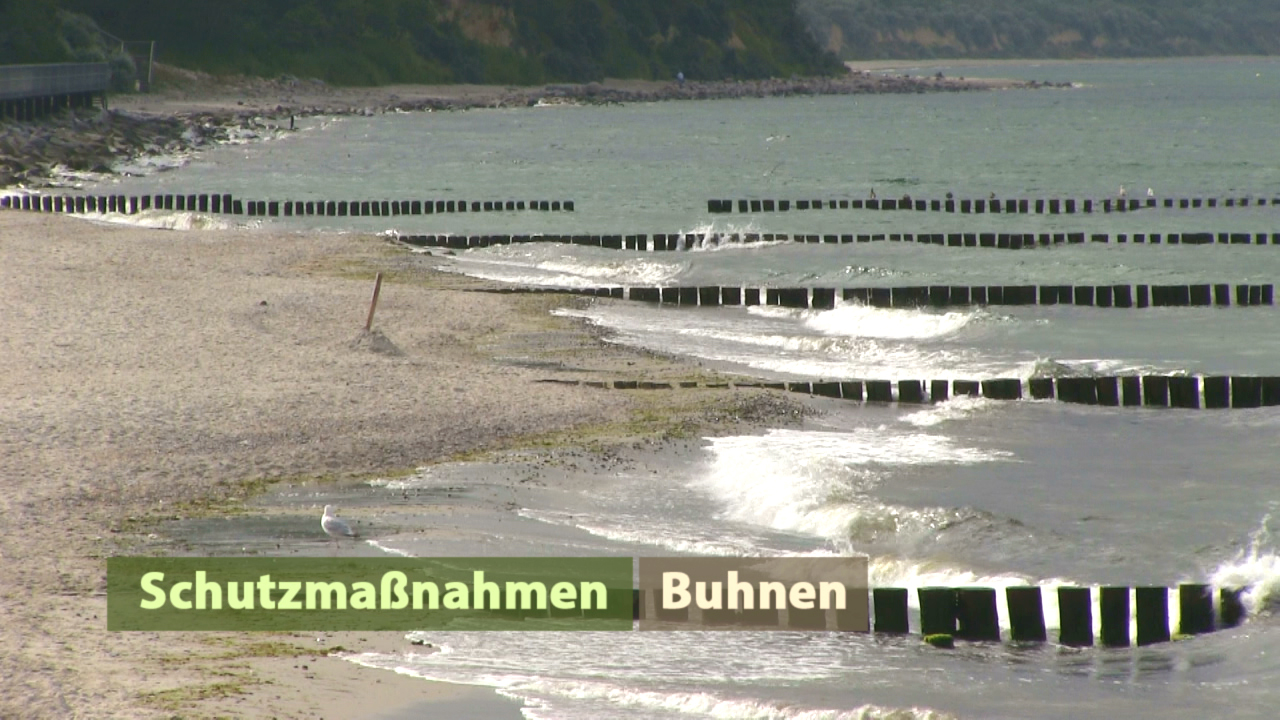Blick auf einen Strand mit Wellen und Buhnen zur Küstenschutzmaßnahme.