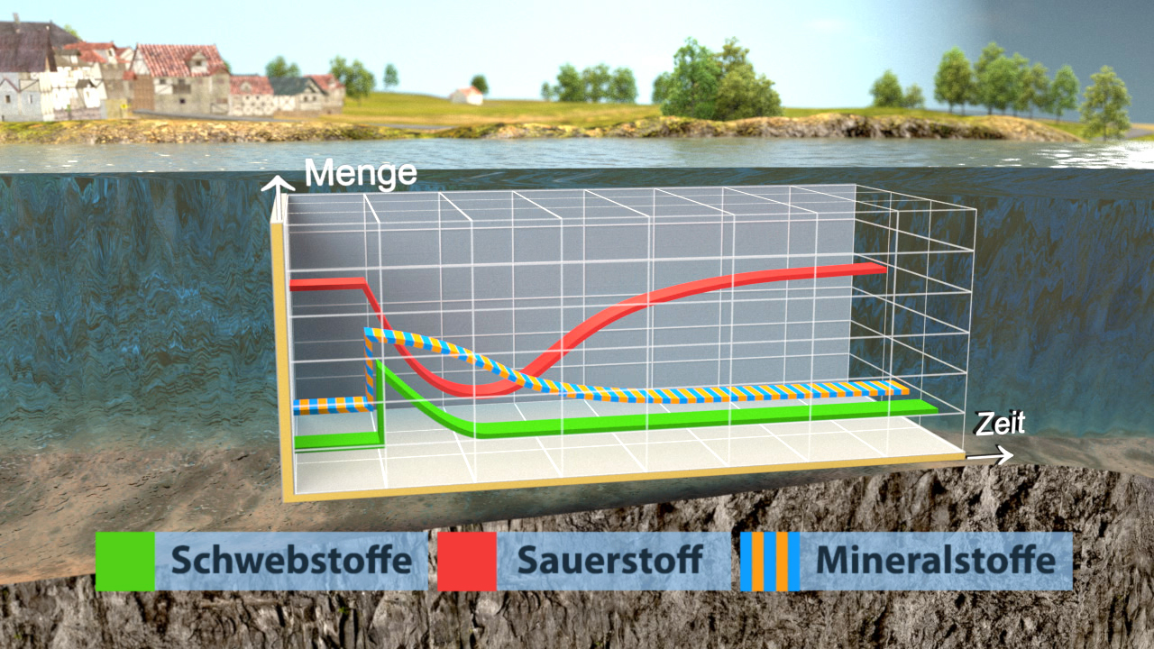 Infografik zur Veränderung von Schwebstoffen, Sauerstoff und Mineralstoffen über die Zeit in einem Gewässer. 
