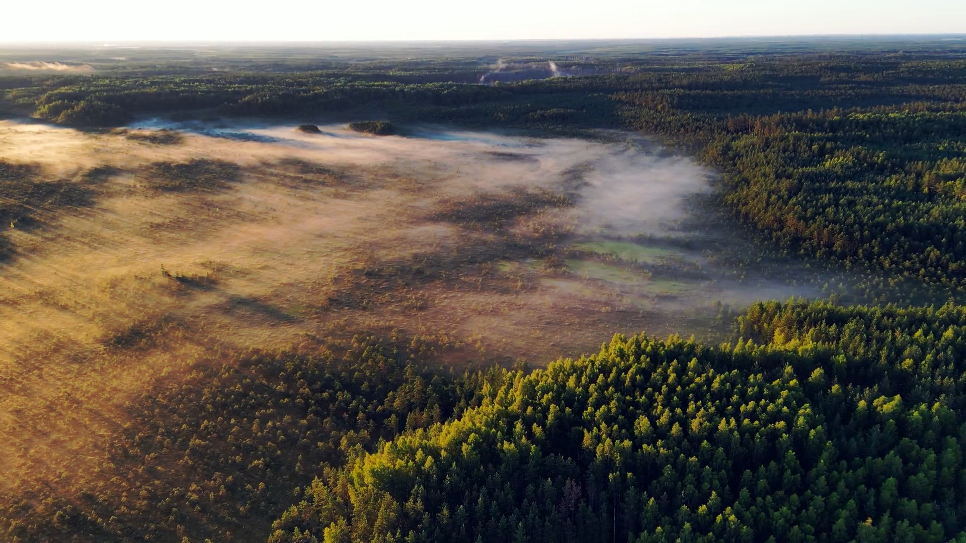 Luftaufnahme eines nebelverhangenen Moors.