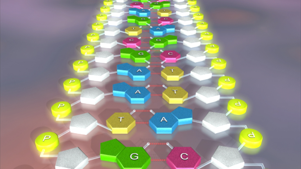 3D-Darstellung einer DNA-Doppelhelix mit bunten Nukleotiden in verschiedenen Farben.