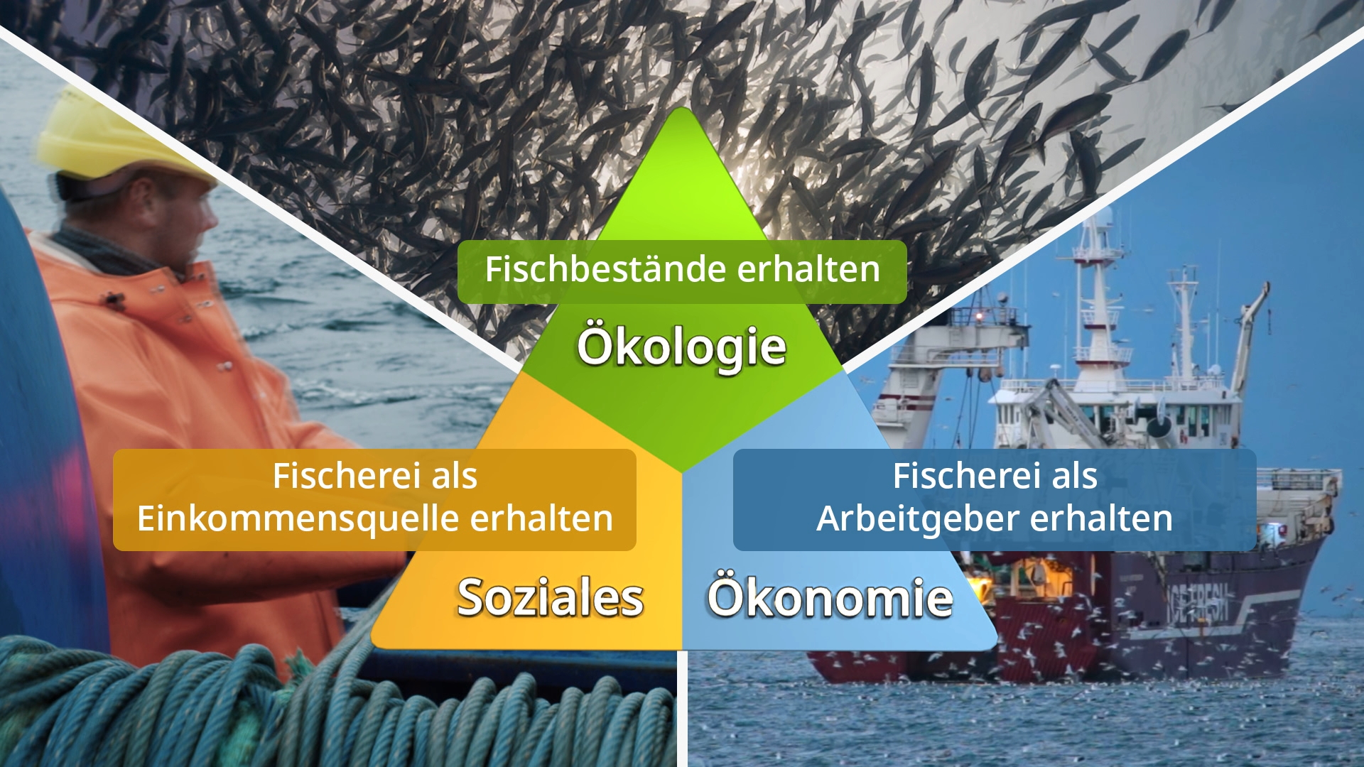 Dreiteilige Grafik mit Fischschwarm, Fischer in orangefarbener Arbeitskleidung und Fischereischiff, beschriftet mit 'Ökologie', 'Soziales' und 'Ökonomie' sowie den Texten 'Fischbestände erhalten', 'Fischerei als Einkommensquelle erhalten' und 'Fischerei a
