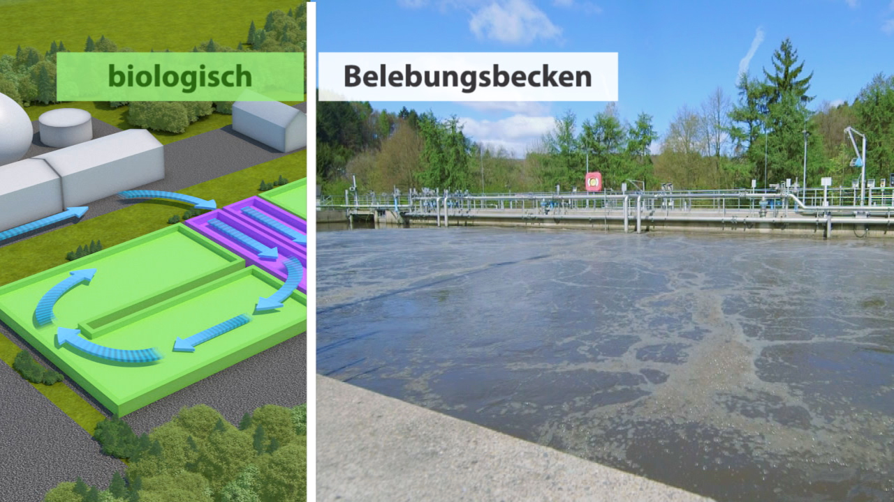 Diagramm zeigt den biologischen Prozess und das Belebungsbecken in einer Kläranlage.