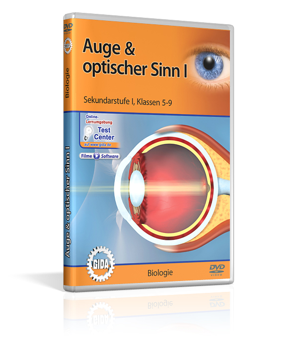 DVD-Cover mit dem Titel 'Auge & optischer Sinn Eins' für Sekundarstufe1. Es zeigt ein illustrativen Schnitt des menschlichen Auges.