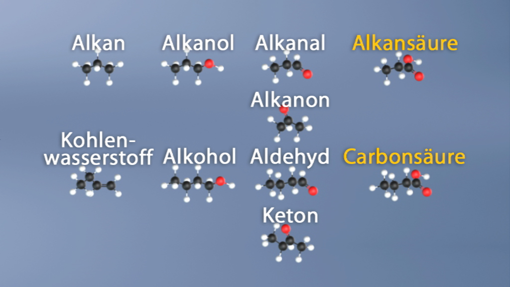 Chemische Strukturformeln verschiedener organischer Verbindungen: Alkan, Alkanol, Alkanal, Alkansäure, Keton, Aldehyd, Alkohole, Kohlenwasserstoffe, Alkane, Alkanon, Carbonsäure.