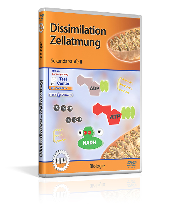 DVD-Cover mit dem Titel 'Dissimilation Zellatmung' für Sekundarstufe 2. Es zeigt biologische Diagramme sowie Begriffe wie ADP, ATP und NADH.