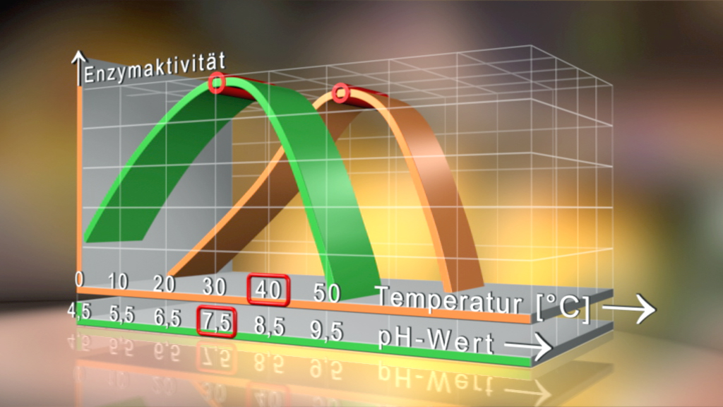 3D-Diagramm zur Enzymaktivität in Abhängigkeit von Temperatur und pH-Wert, mit Kurven für verschiedene Enzyme.