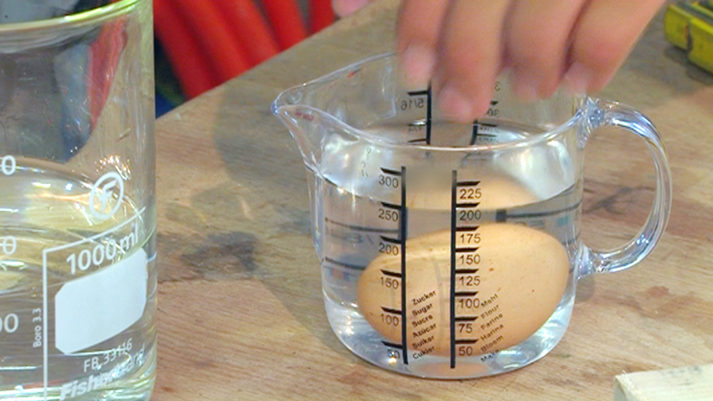Ein rohes Ei wird in einen Messbecher mit Wasser getaucht, der mit Maßstrichen versehen ist.