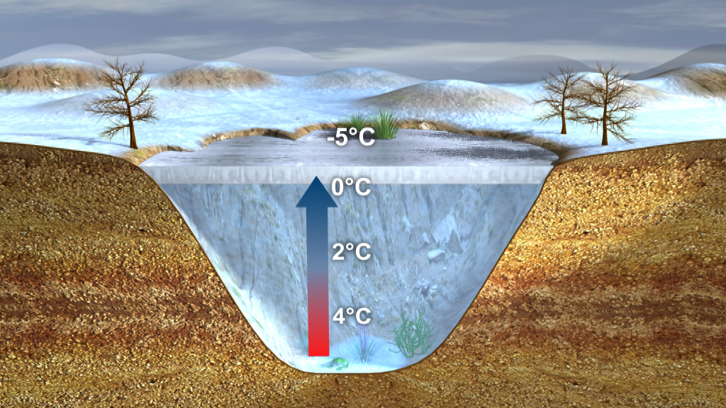 Grafik, die die Temperaturverteilung von Wasser in einem See Wasser zeigt.