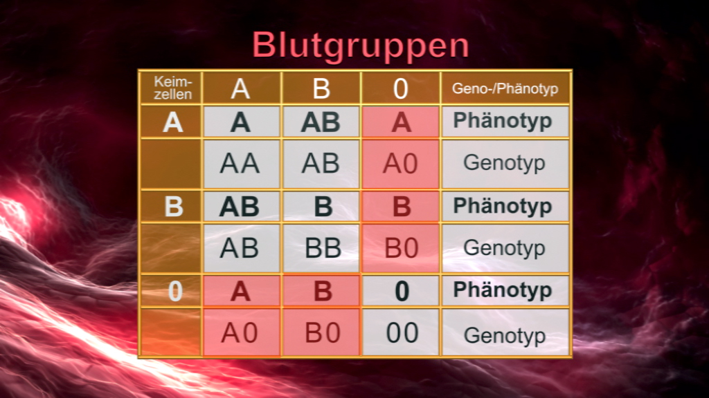 Biologie/BIO-DVD097 Blut/BIO-DVD097_Bild_23.jpg
