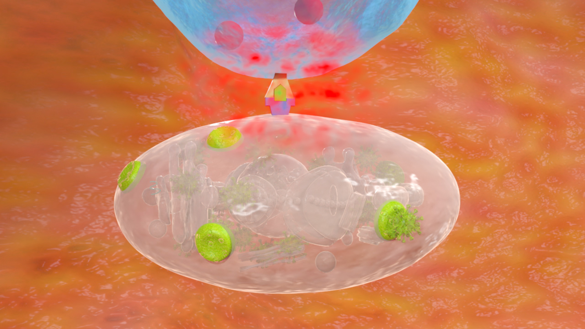 Eine schematische Darstellung einer Zelle mit verschiedenen Organellen und einer blauen Struktur darüber.