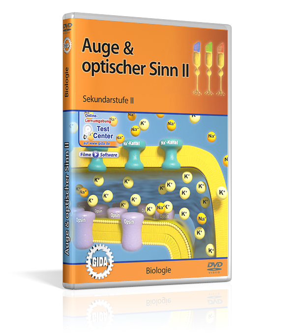 DVD-Cover mit dem Titel 'Auge & optischer Sinn II' für Sekundarstufe 2. Es zeigt eine Illustration von Ionenbewegungen durch eine Zellmembran.