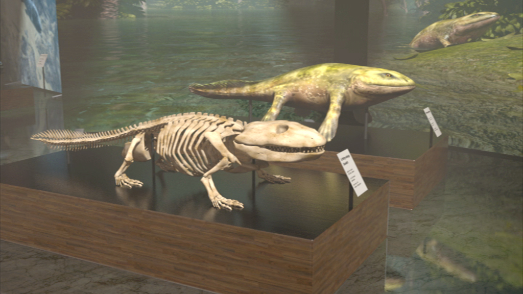 Skelett eines prähistorischen Amphibien neben einer rekonstruierten Darstellung desselben Tieres in einer Ausstellung.