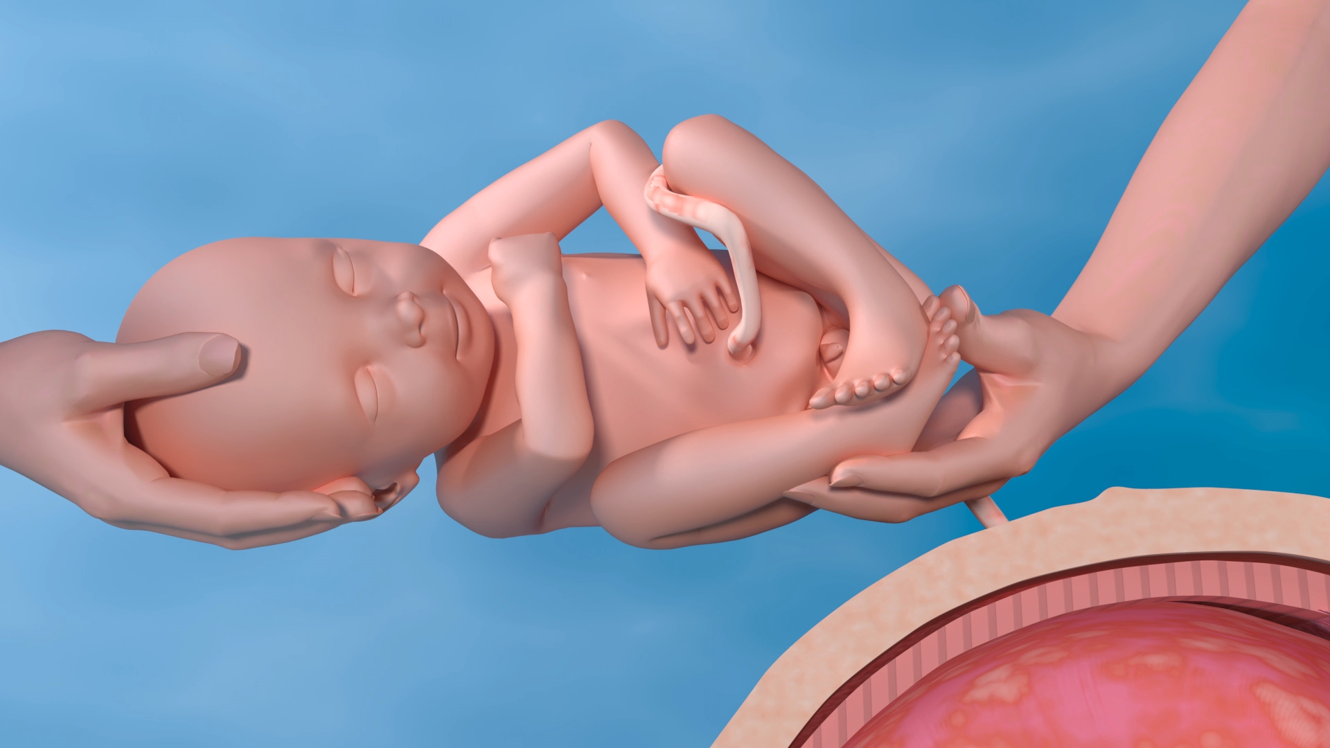 Ein 3D-Modell eines Neugeborenen, das von zwei Händen gehalten wird, mit einem Hintergrund, der eine Gebärmutter darstellt.