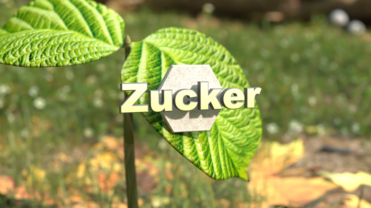 Nahaufnahme eines Blattes mit dem Wort 'Zucker' in 3D-Text darüber.