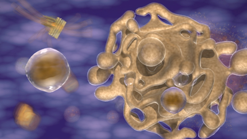 Darstellung von Zellen und Zellstrukturen in einem biologischen Kontext.
