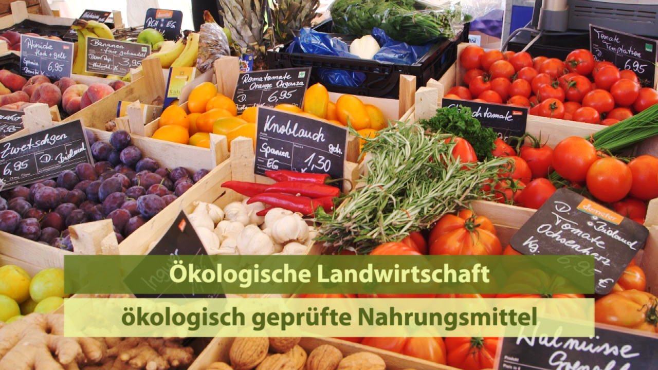 Marktstand mit frischem Obst und Gemüse, beschriftet mit Preisen und Informationen zu ökologischer Landwirtschaft.