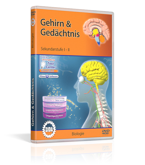 DVD-Cover mit dem Titel 'Gehirn & Gedächtnis', zeigt eine grafische Darstellung des menschlichen Gehirns und Kopfes, mit Diagrammen und Text.