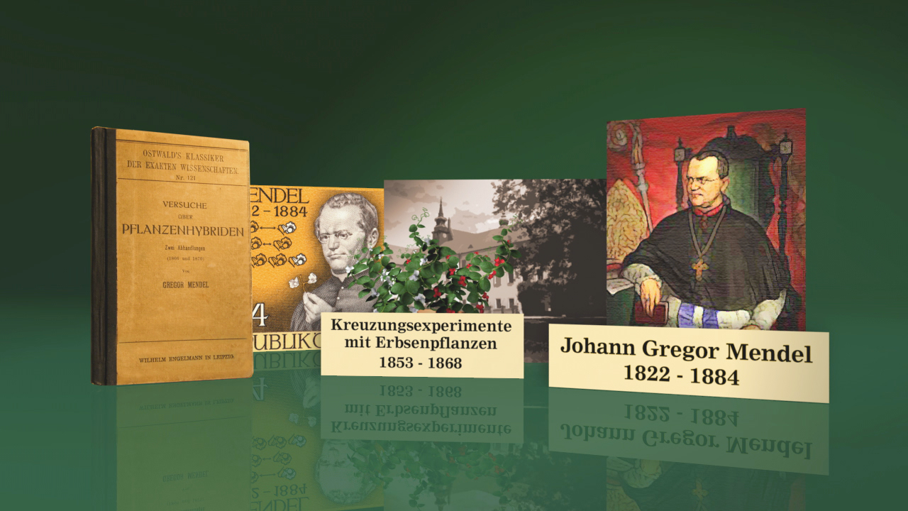 Bücher und Bilder über Johann Gregor Mendel, einschließlich seiner Experimente mit Erbsenpflanzen und biografischen Informationen.