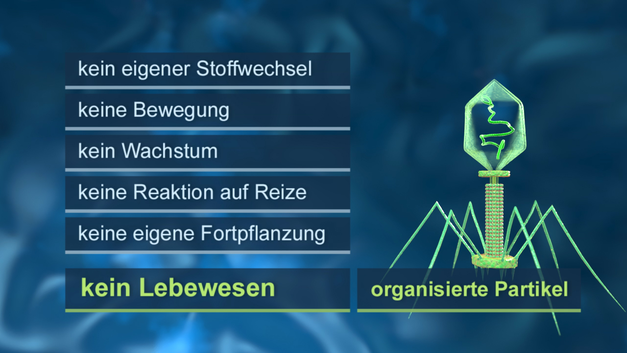 Liste von Eigenschaften, die kein Lebewesen auszeichnen: kein eigener Stoffwechsel, keine Bewegung, kein Wachstum, keine Reaktion auf Reize, keine eigene Fortpflanzung.