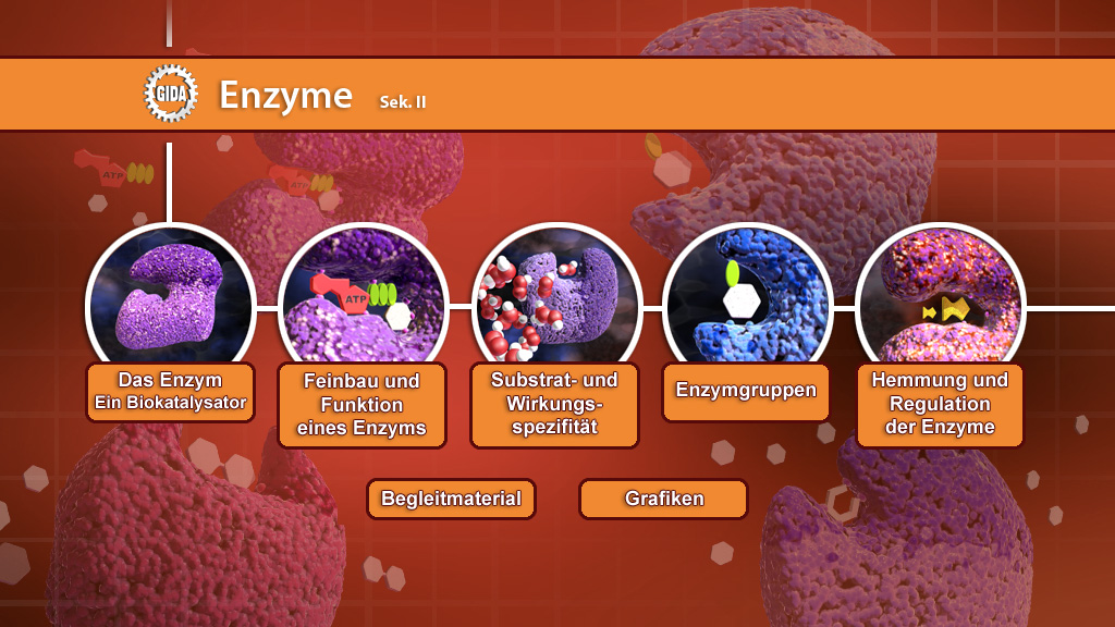 Menü des Films mit den Themen: Enzym als Biokatalysator, Funktion und Feinbau, Substratspezifität, Enzymgruppen, Hemmung und Regulation.