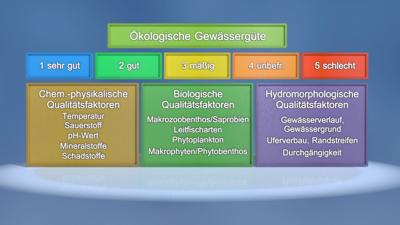 Infografik zur ökologischen Gewässergüte mit fünf Bewertungsstufen und drei Kategorien: chemisch-physikalische, biologische und hydromorphologische Qualitätsfaktoren.
