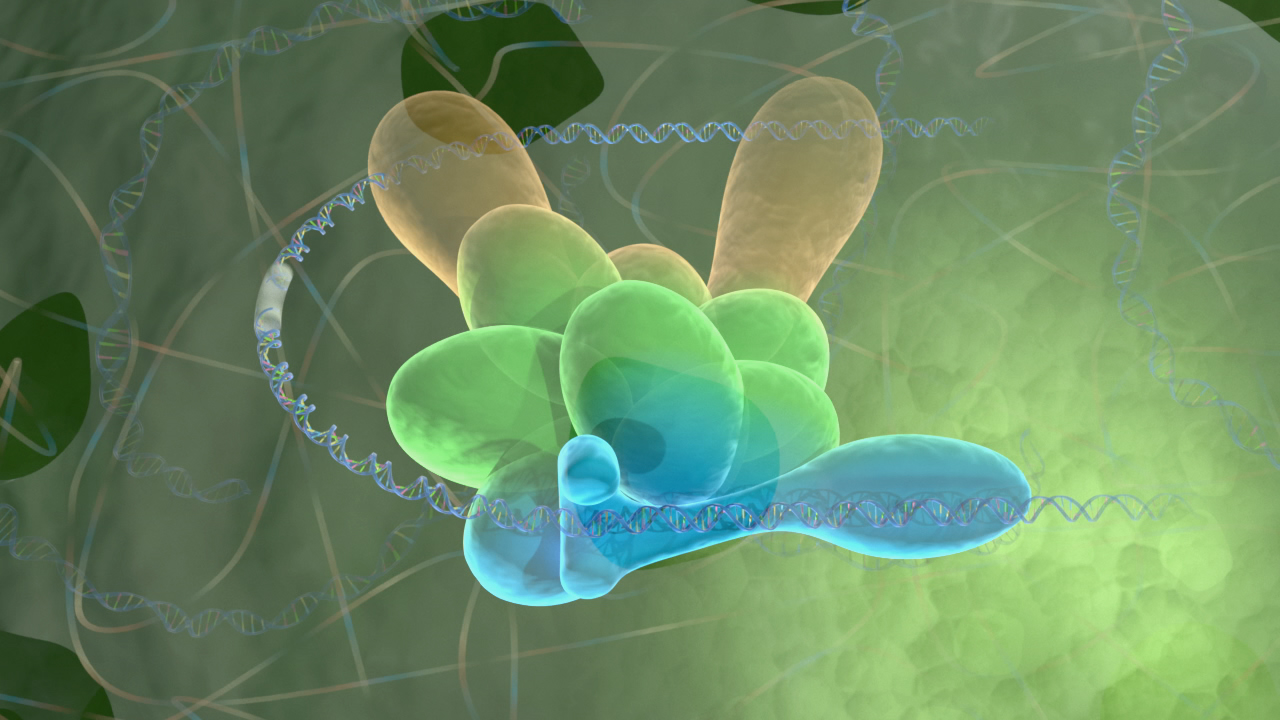 3D-Darstellung eines Moleküls mit verschiedenen Farben, das in einer biologischen Umgebung schwebt.