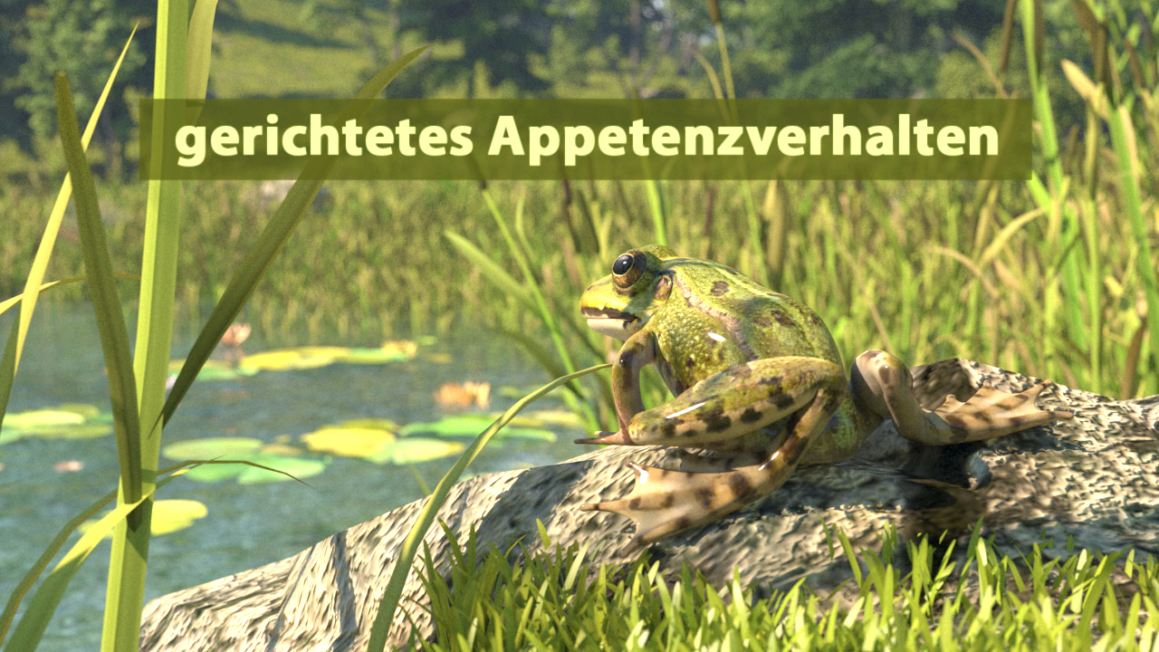 Ein Frosch sitzt auf einem Baumstamm am Ufer eines Gewässers, umgeben von Wasserpflanzen. Der Text 'gerichtetes Appetenzverhalten' ist darüber eingeblendet.